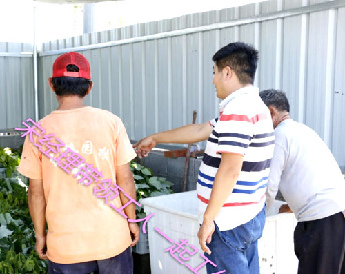 夏日來臨，當(dāng)你吹空調(diào)喊熱的時候，讓我?guī)阋黄鹱哌M(jìn)東楓園林體驗(yàn)一下東楓人高溫下工作不一樣的夏日風(fēng)采