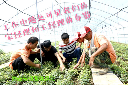 夏日來臨，當(dāng)你吹空調(diào)喊熱的時候，讓我?guī)阋黄鹱哌M(jìn)東楓園林體驗(yàn)一下東楓人高溫下工作不一樣的夏日風(fēng)采