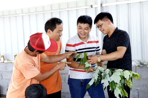 夏日來臨，當(dāng)你吹空調(diào)喊熱的時候，讓我?guī)阋黄鹱哌M(jìn)東楓園林體驗(yàn)一下東楓人高溫下工作不一樣的夏日風(fēng)采